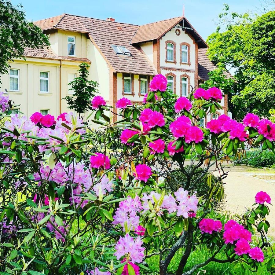 Parkhotel Pretzsch Bad Schmiedeberg Bagian luar foto