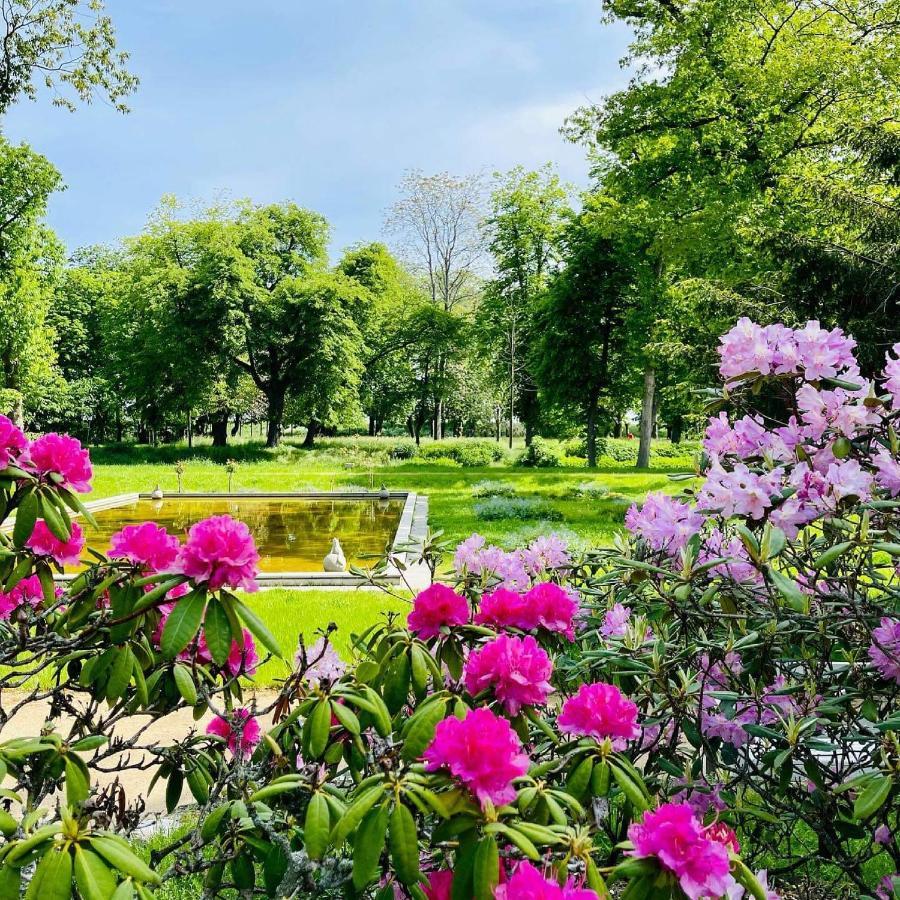 Parkhotel Pretzsch Bad Schmiedeberg Bagian luar foto