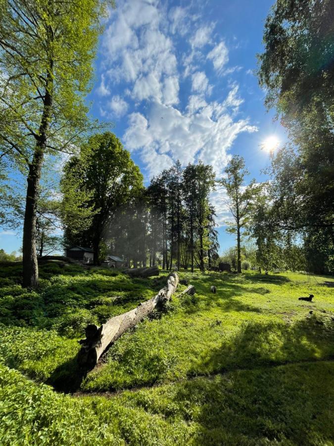 Parkhotel Pretzsch Bad Schmiedeberg Bagian luar foto