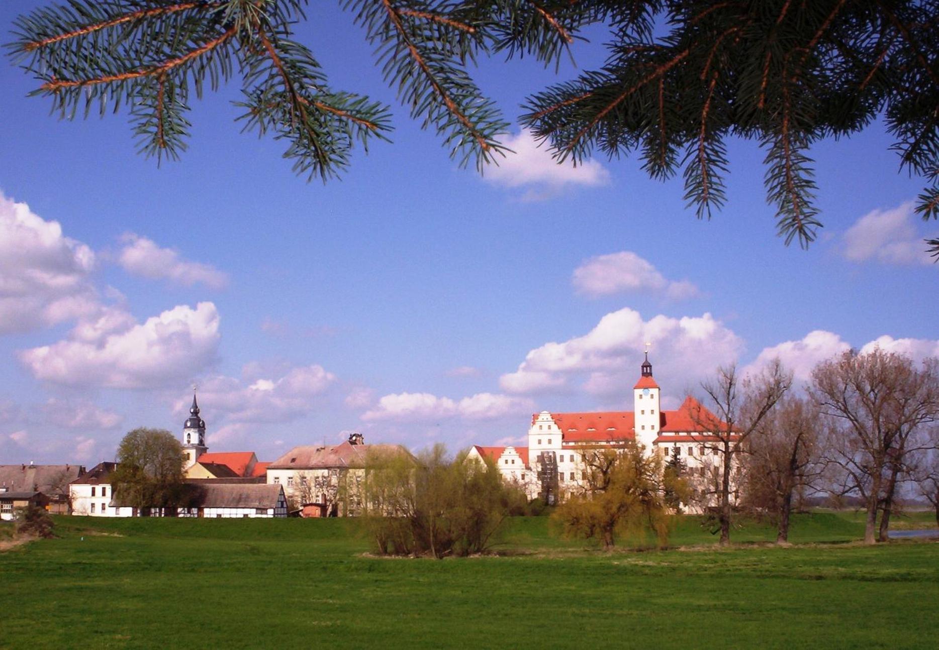 Parkhotel Pretzsch Bad Schmiedeberg Bagian luar foto