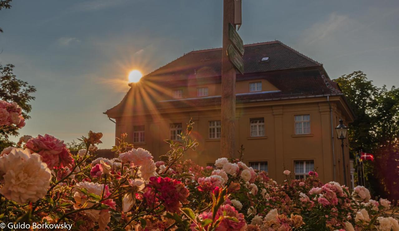 Parkhotel Pretzsch Bad Schmiedeberg Bagian luar foto